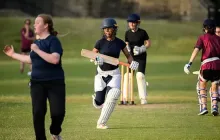 Cricket Bat