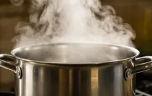 Steam