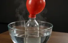 Inflated Balloon
