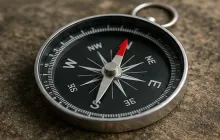 Compass Needle