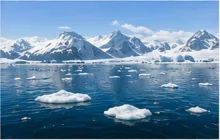 Arctic Snow