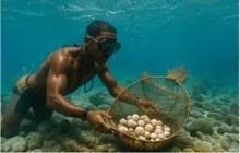 Pearl Diving