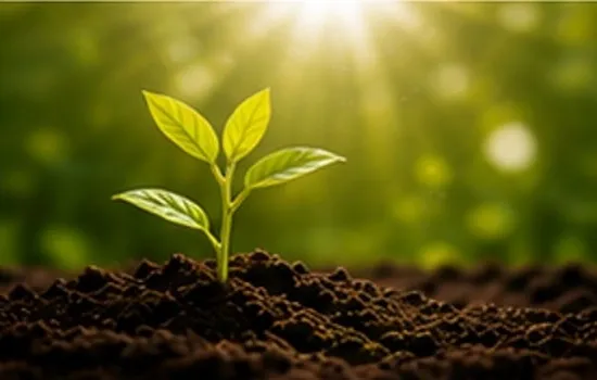Green Plant