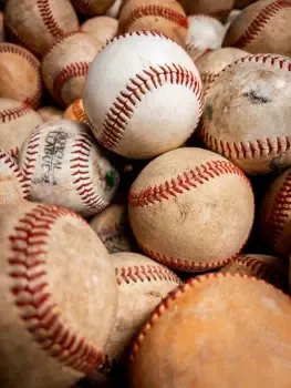Baseball Bat