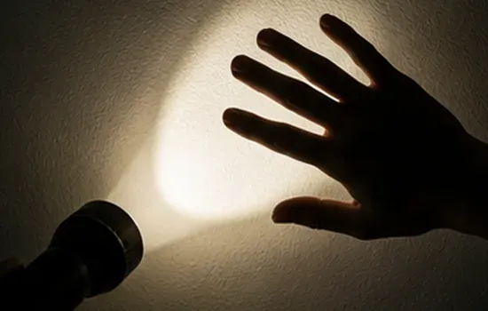 Hand Shadow