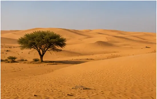 Desert Dunes